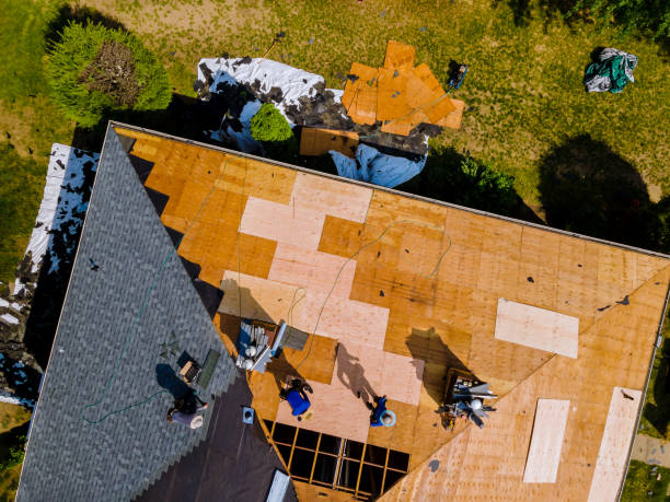 Best Storm Damage Roof Repair  in Tompkinsville, KY