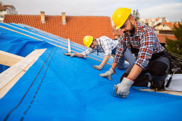 Best Local Roofing Companies  in Tompkinsville, KY