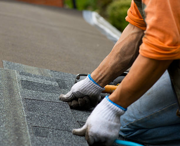 Best Roof Repair Services  in Tompkinsville, KY